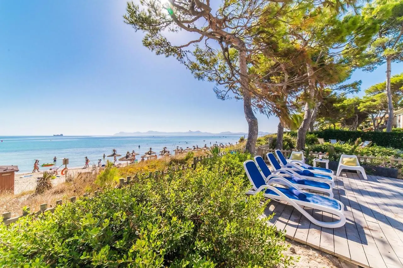 Ideal Property Mallorca - Gaviotas Playa de Muro  Playa de Muro (Mallorca)