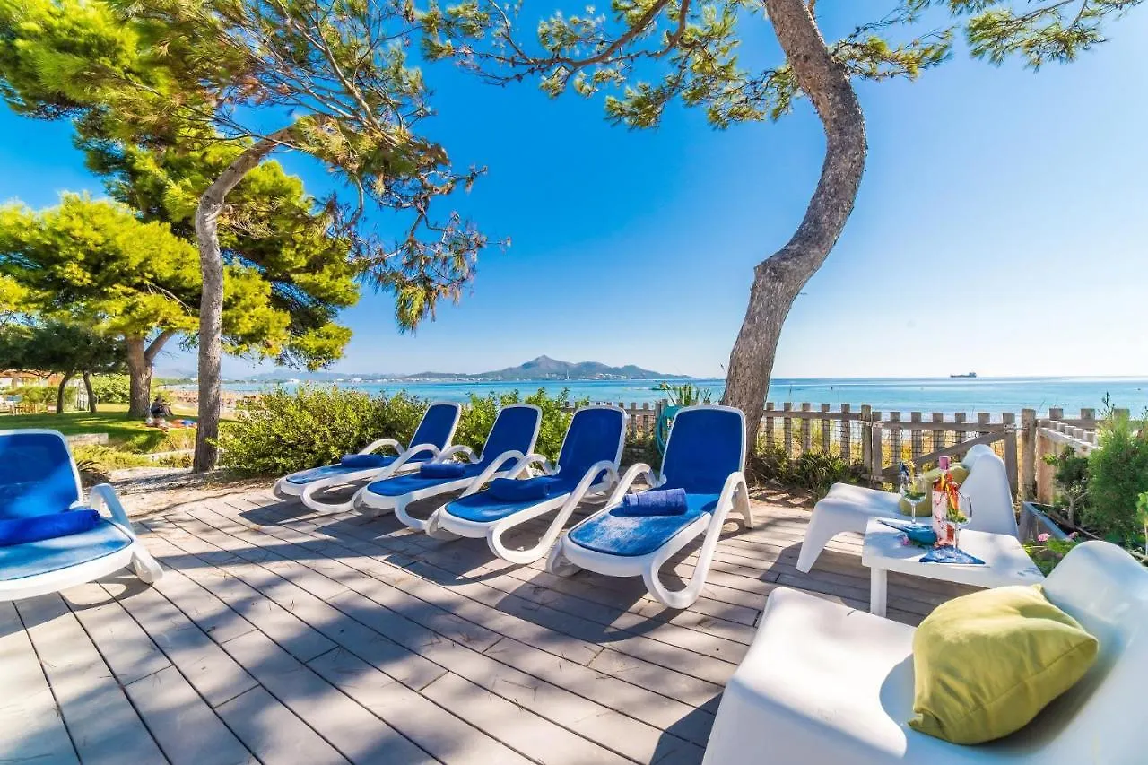 Ideal Property Mallorca - Gaviotas Playa de Muro  Holiday home Playa de Muro (Mallorca)